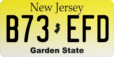 NJ license plate B73EFD