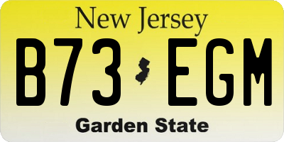 NJ license plate B73EGM