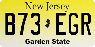NJ license plate B73EGR