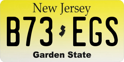 NJ license plate B73EGS