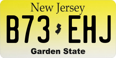 NJ license plate B73EHJ