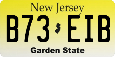 NJ license plate B73EIB