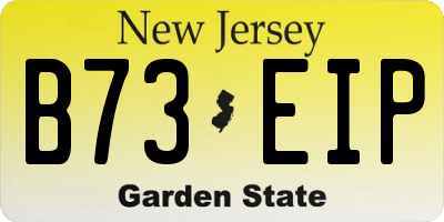 NJ license plate B73EIP