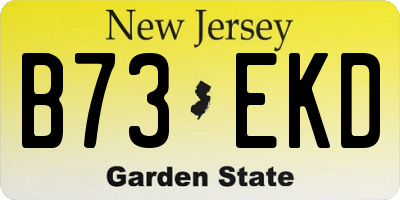 NJ license plate B73EKD