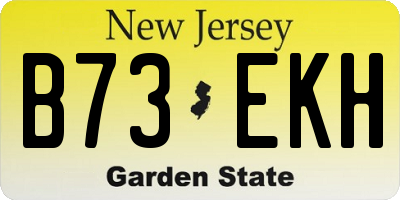 NJ license plate B73EKH