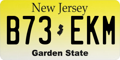 NJ license plate B73EKM
