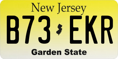 NJ license plate B73EKR