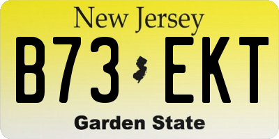 NJ license plate B73EKT
