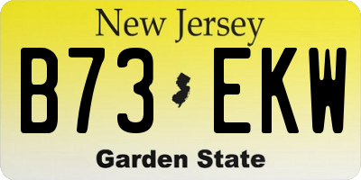 NJ license plate B73EKW