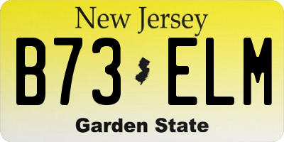 NJ license plate B73ELM