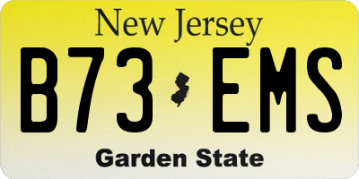 NJ license plate B73EMS