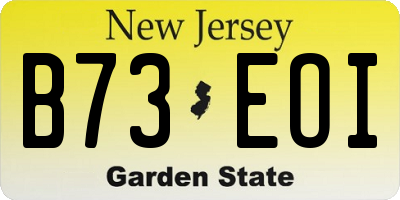NJ license plate B73EOI