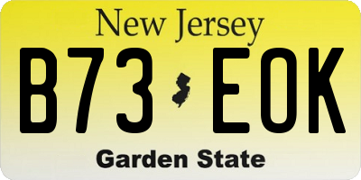 NJ license plate B73EOK