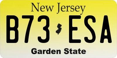NJ license plate B73ESA