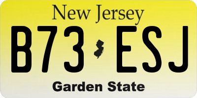 NJ license plate B73ESJ