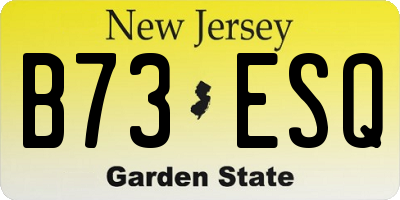 NJ license plate B73ESQ