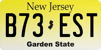 NJ license plate B73EST