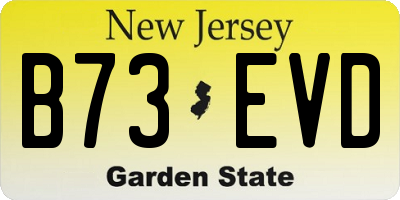 NJ license plate B73EVD