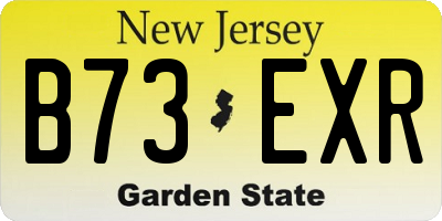 NJ license plate B73EXR