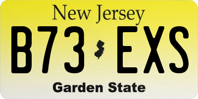 NJ license plate B73EXS