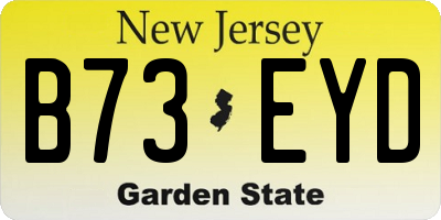 NJ license plate B73EYD