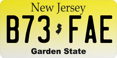 NJ license plate B73FAE