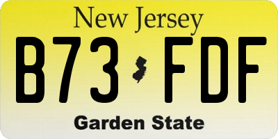 NJ license plate B73FDF