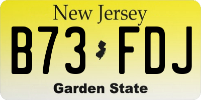 NJ license plate B73FDJ