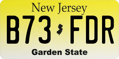 NJ license plate B73FDR