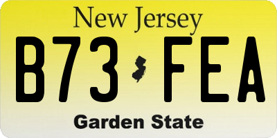 NJ license plate B73FEA