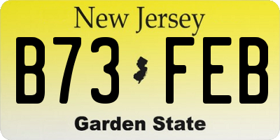 NJ license plate B73FEB