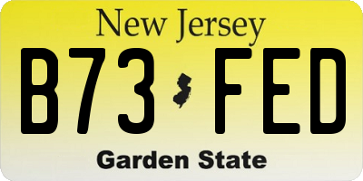 NJ license plate B73FED