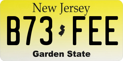 NJ license plate B73FEE