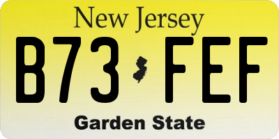 NJ license plate B73FEF