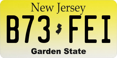 NJ license plate B73FEI
