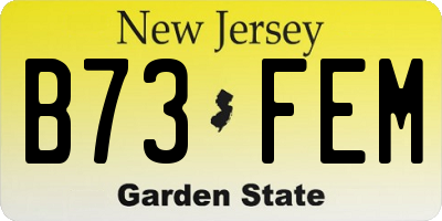 NJ license plate B73FEM