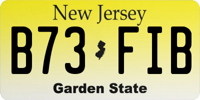NJ license plate B73FIB