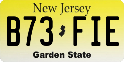 NJ license plate B73FIE
