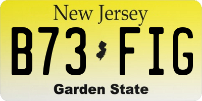 NJ license plate B73FIG