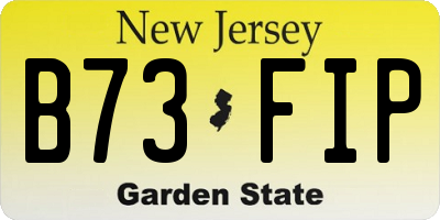 NJ license plate B73FIP