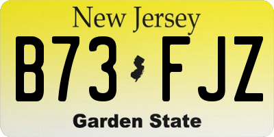 NJ license plate B73FJZ