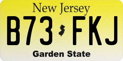 NJ license plate B73FKJ