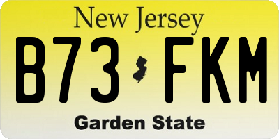 NJ license plate B73FKM
