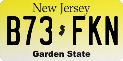 NJ license plate B73FKN