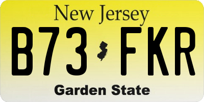NJ license plate B73FKR