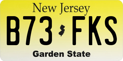 NJ license plate B73FKS