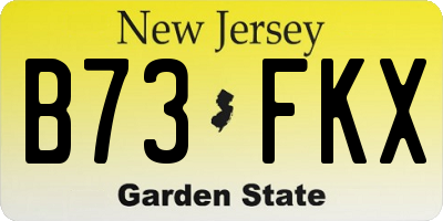 NJ license plate B73FKX