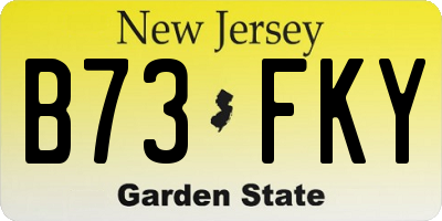 NJ license plate B73FKY