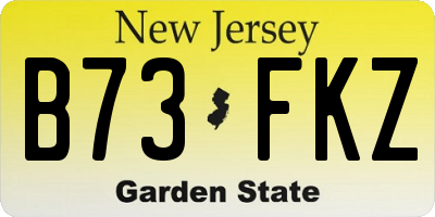 NJ license plate B73FKZ