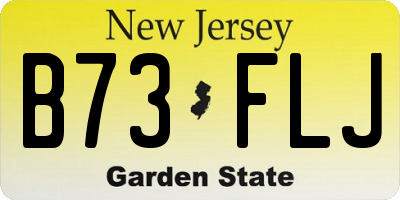NJ license plate B73FLJ